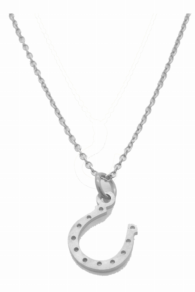 Horse Shoe Pendant Necklaces By DOBBI ( VARIETY OF COLORS AVAILABLE )
