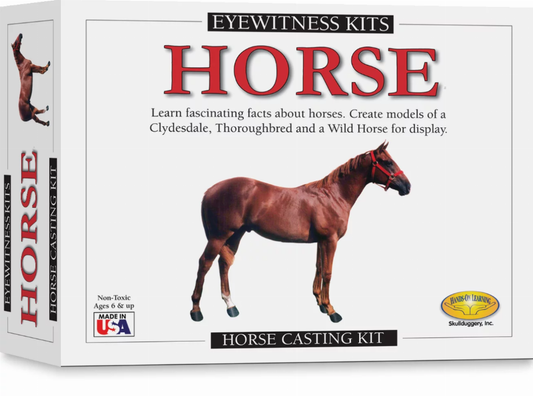 Eyewitness Kit